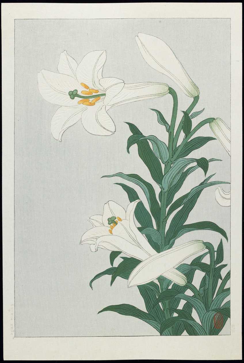 White Lily, 1930s by Ohara Koson