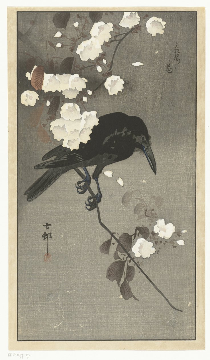 Crow with Cherry Blossom (Hana sakura no tori) by Ohara Koson