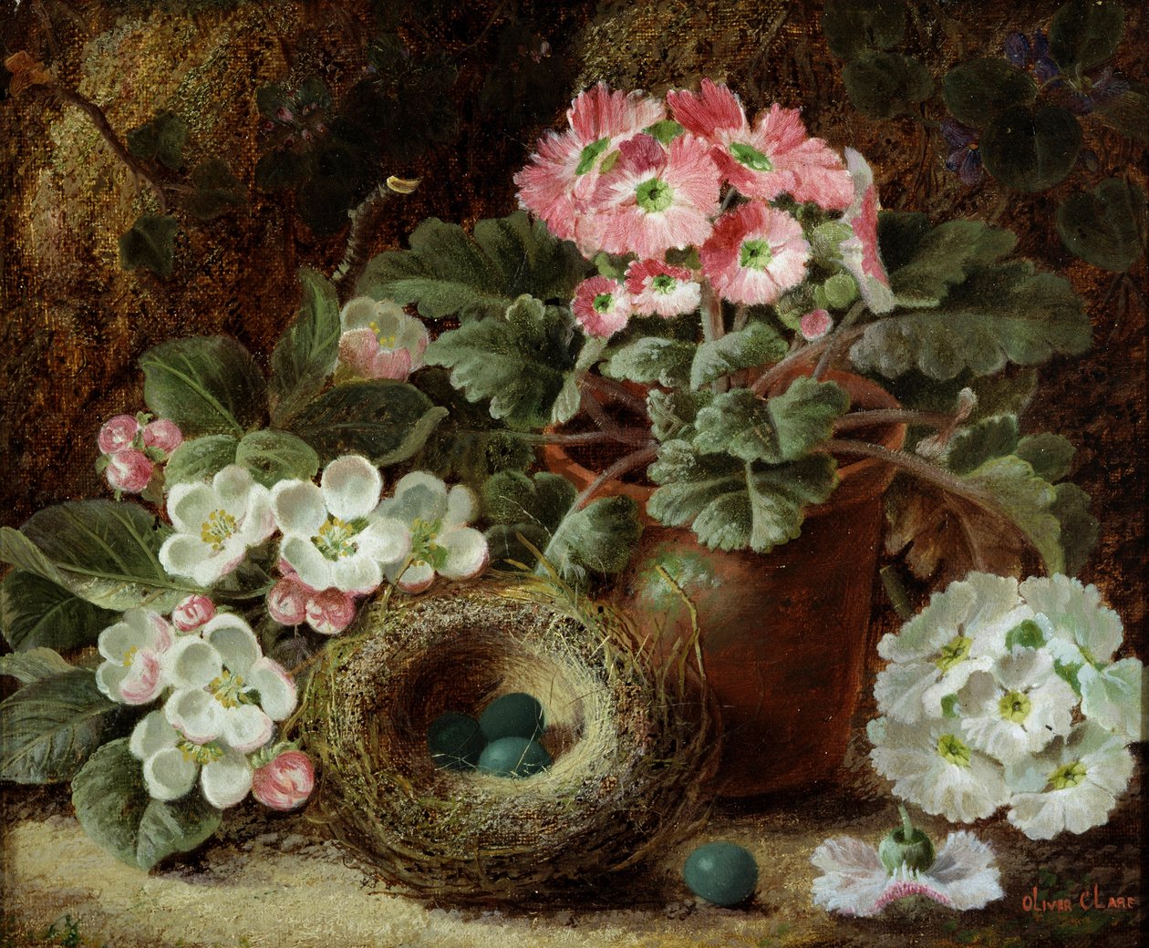 Flowers (Primroses) and Bird