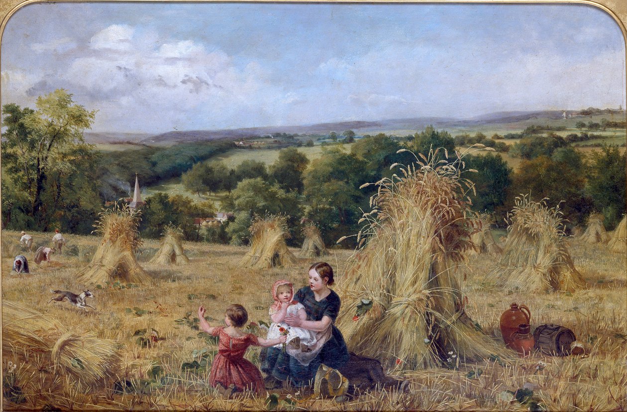 The Harvest Field by Oliver Lupton: Buy fine art print