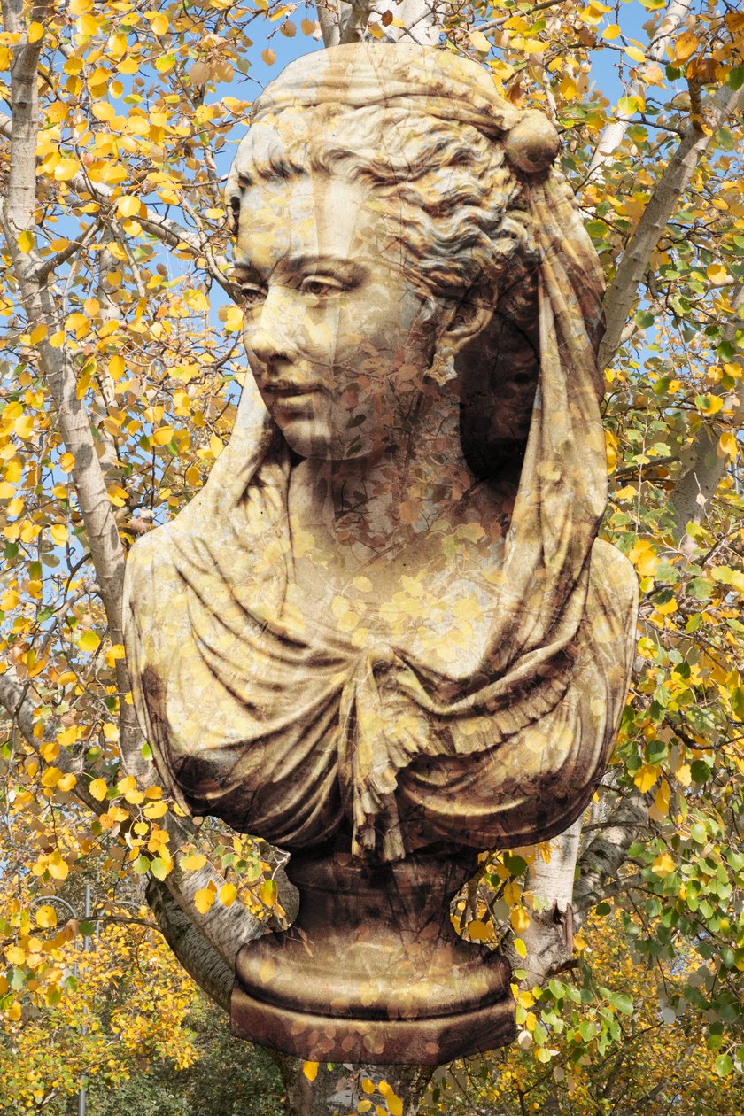 2019 by Olivia Gozzano