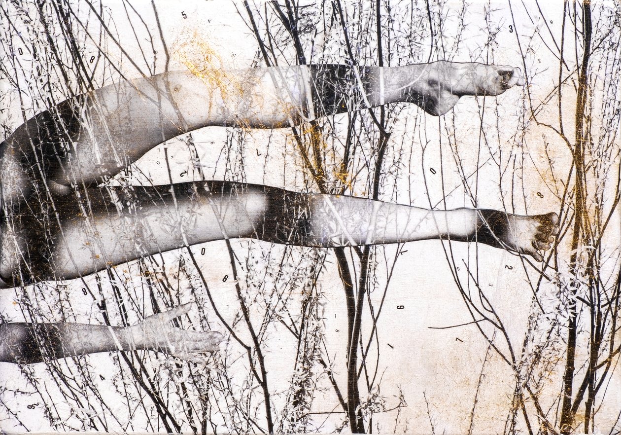 Flying Legs by Olivia Gozzano