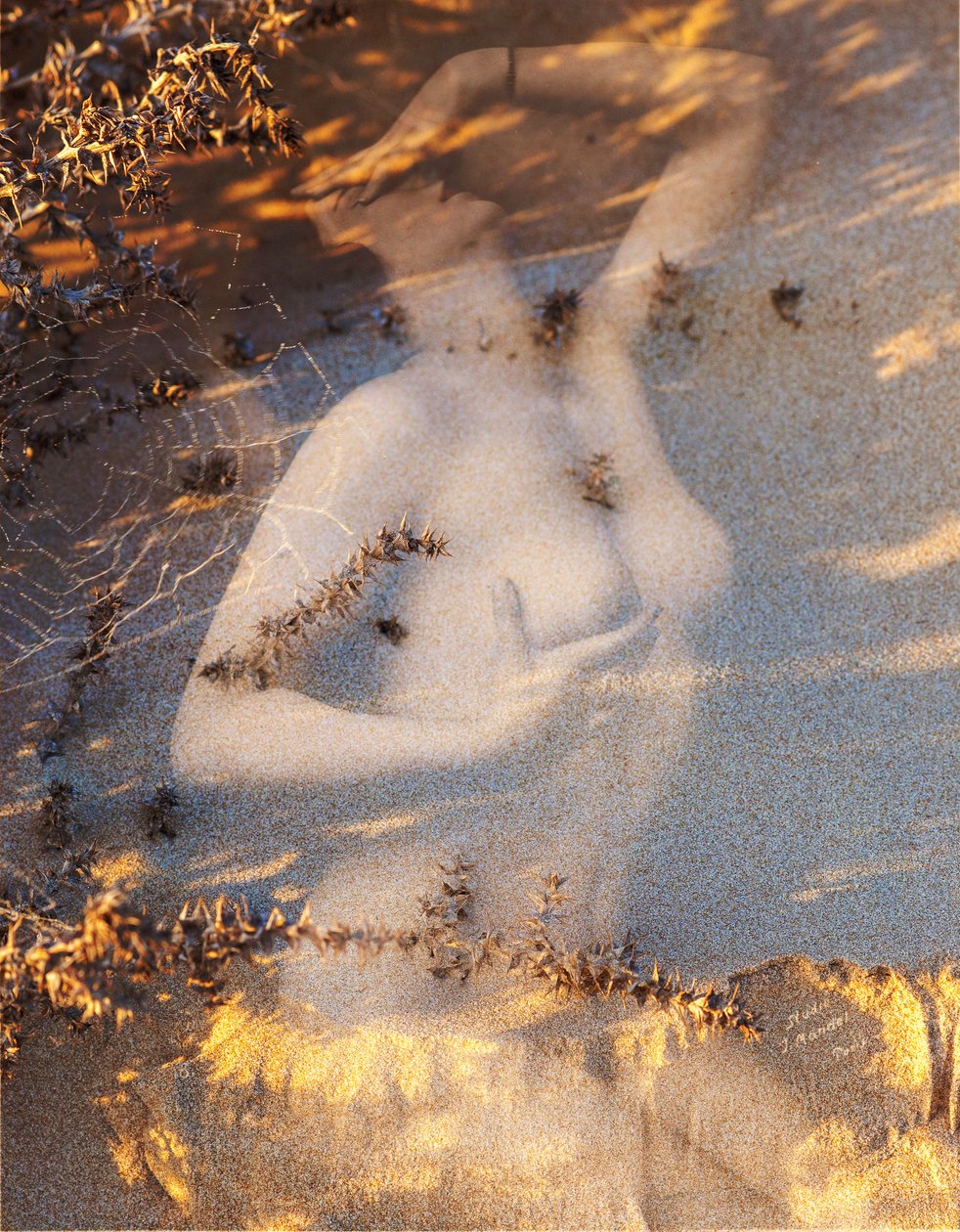 Nude on Sand, 2019 by Olivia Gozzano