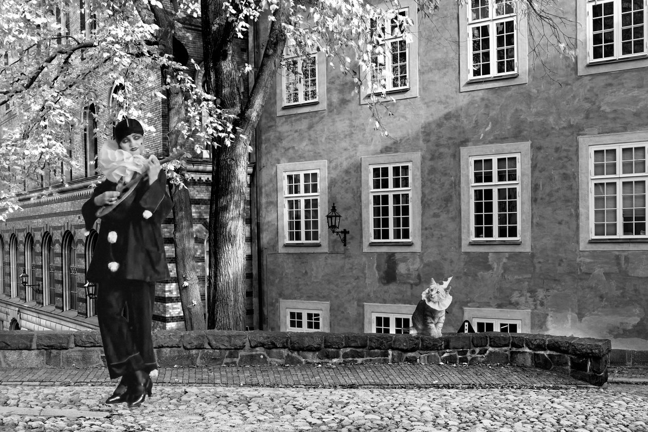 Theatrical Scene by Olivia Gozzano