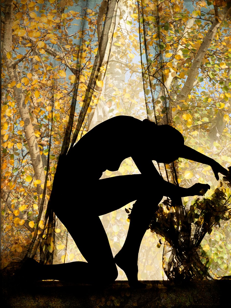 Silhouette by Olivia Gozzano