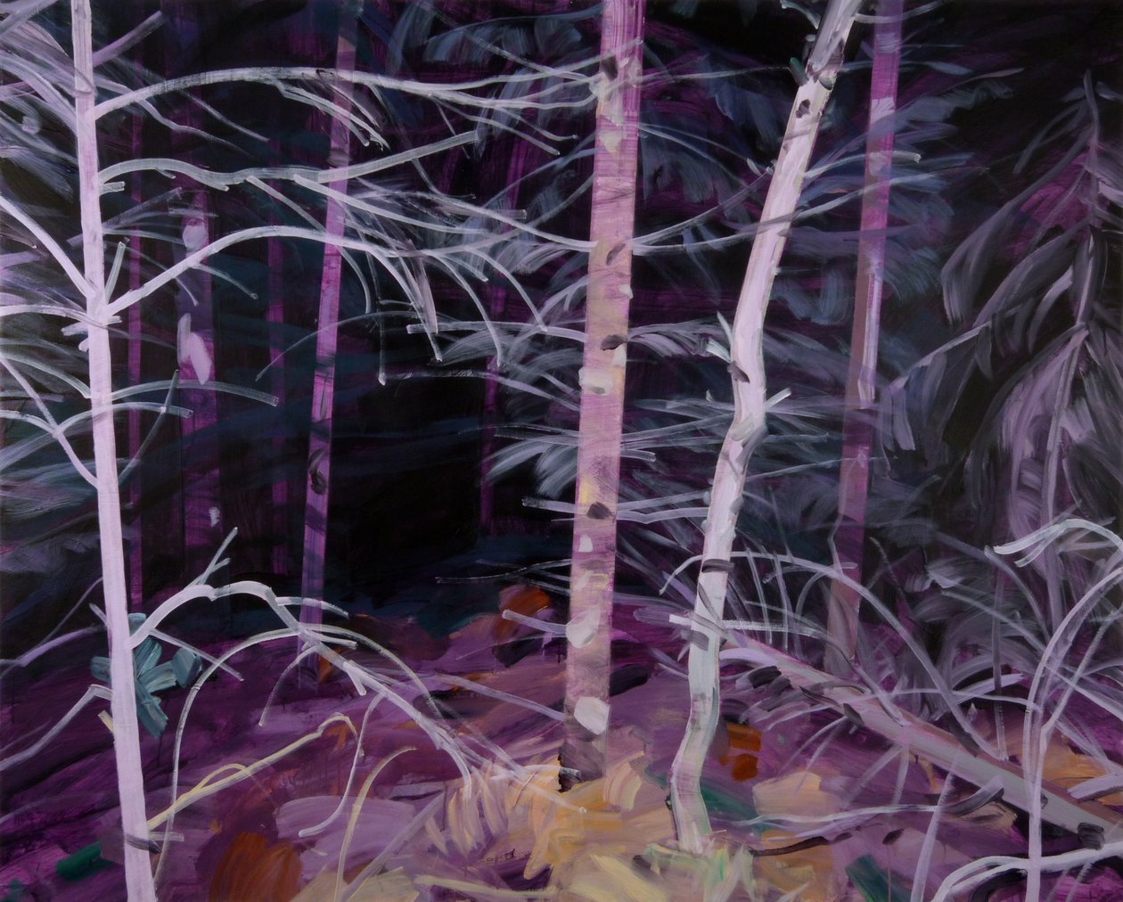 Black Forest 10 by Olivier Morel