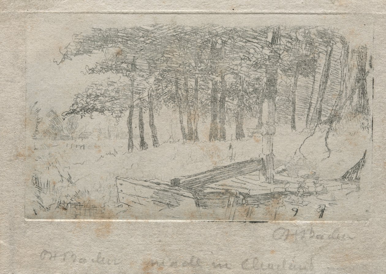 Sketch from Nature, 1879 by Otto H. Bacher