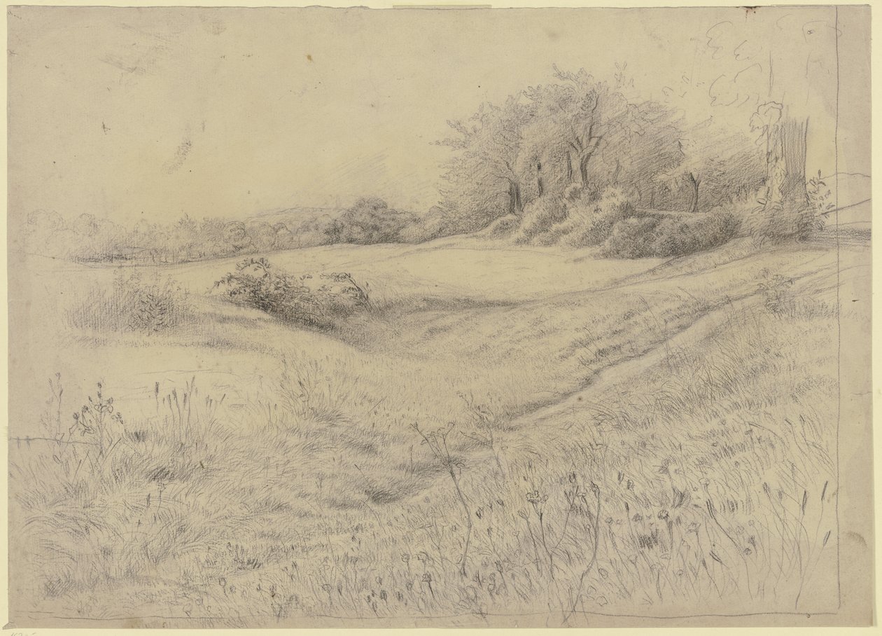 Forest Landscape near Kronberg by Otto Scholderer