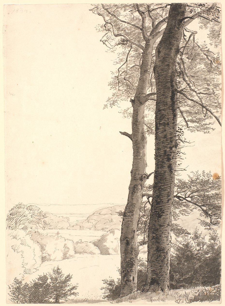 Landscape at Skarritsø with Two Tall Trees, Beeches, in the Foreground by P.C. Skovgaard