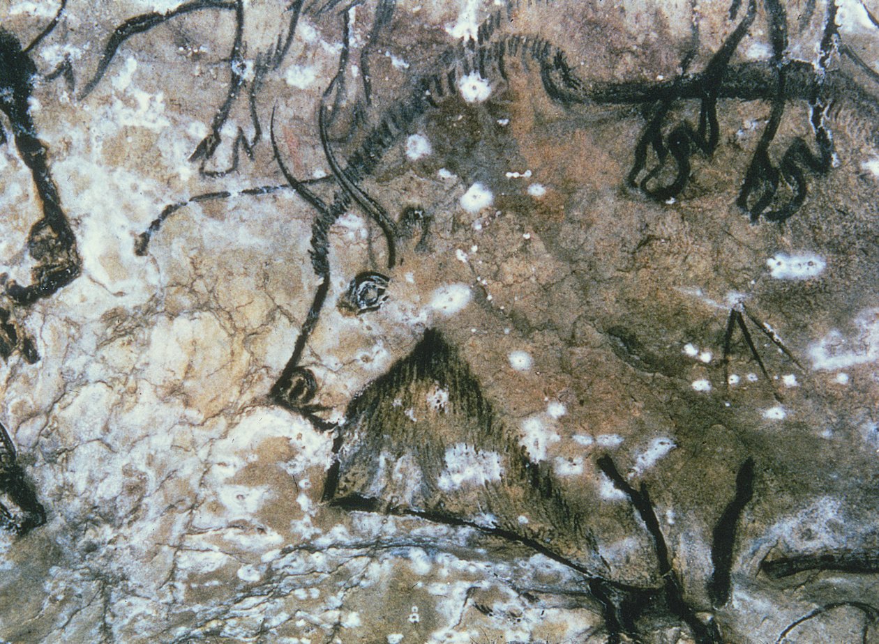 Injured Bull, Rock Painting, Magdalenian by Paleolithic Paleolithic