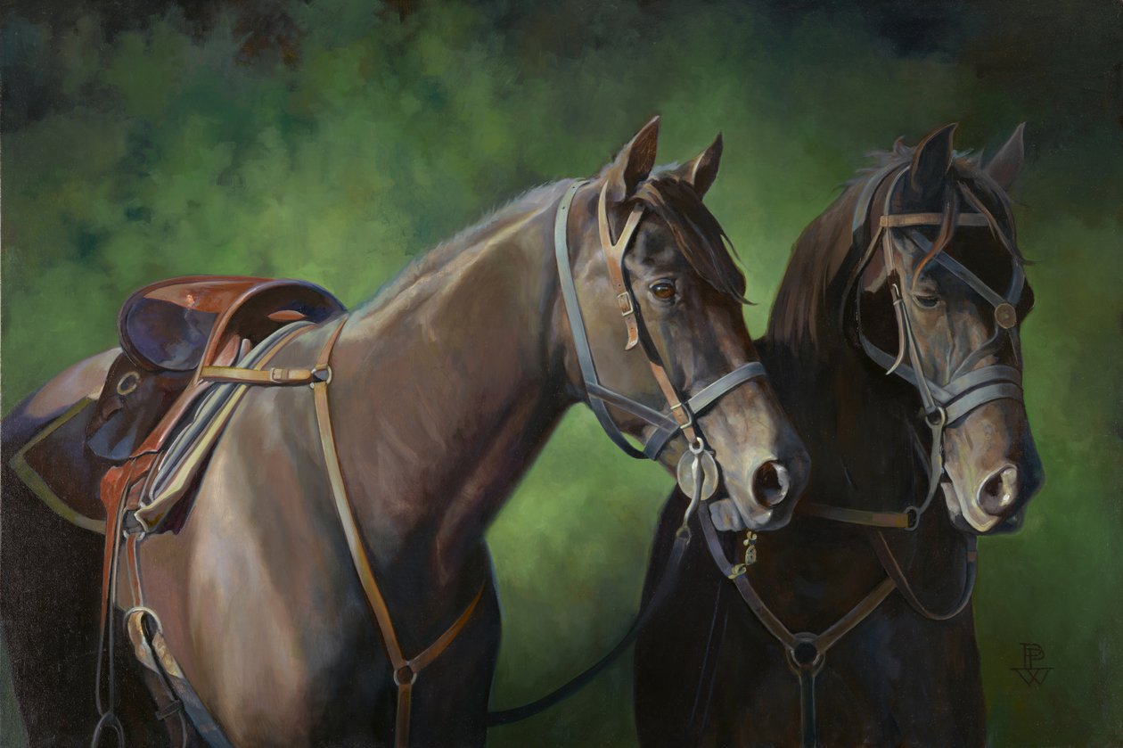Silent Partners by Pamela Patrick White