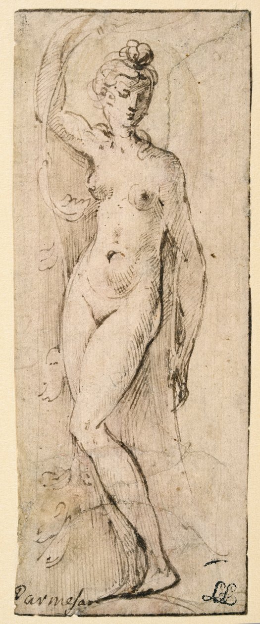 Female Figure - Study for Santa Maria della Steccata, Parma by Parmigianino