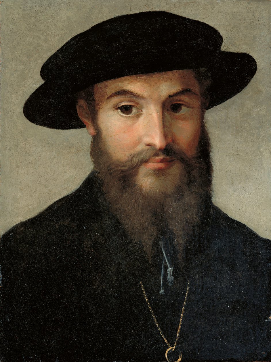 Portrait of a Bearded Man by Parmigianino