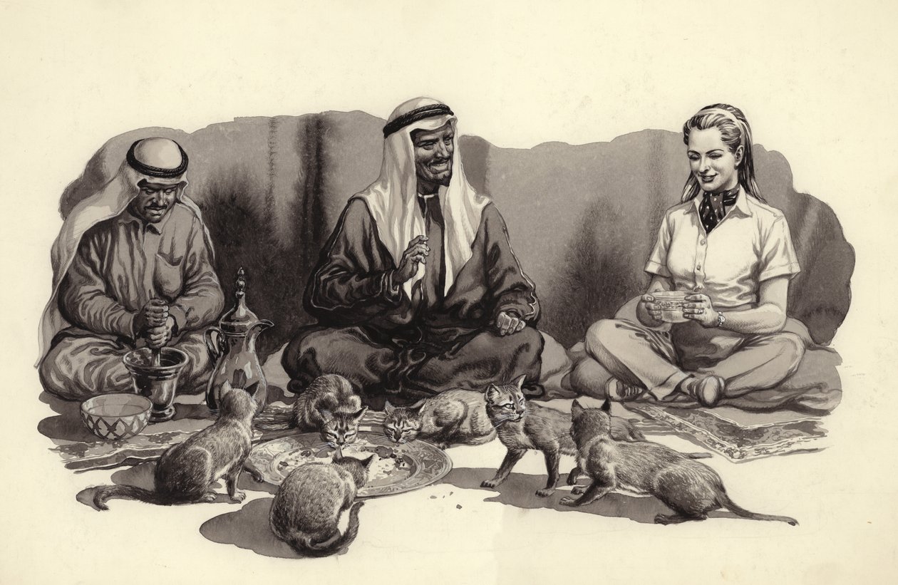 An Arab Man Feeds His Cats by Pat (1907 95) Nicolle