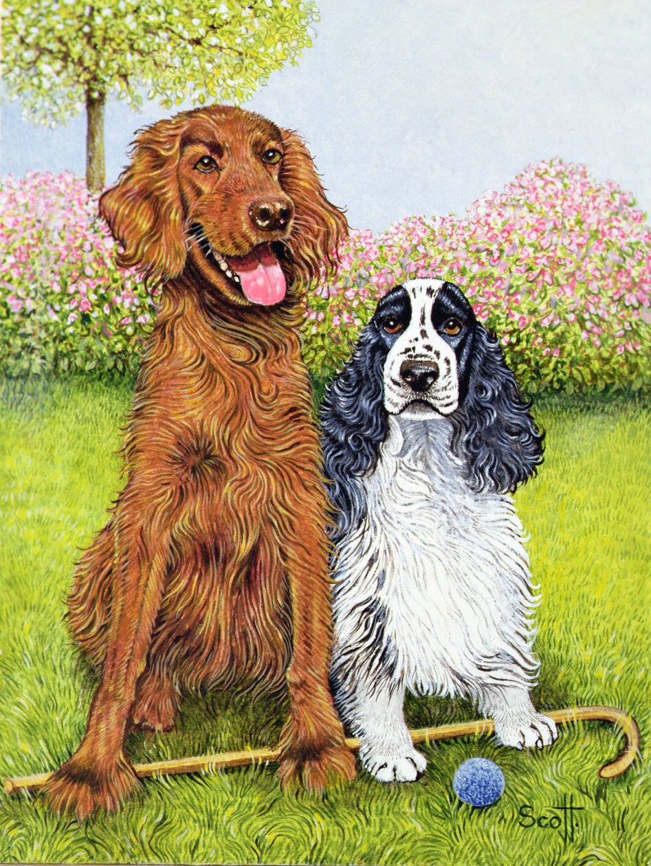 A Couple of Bounders by Pat Scott