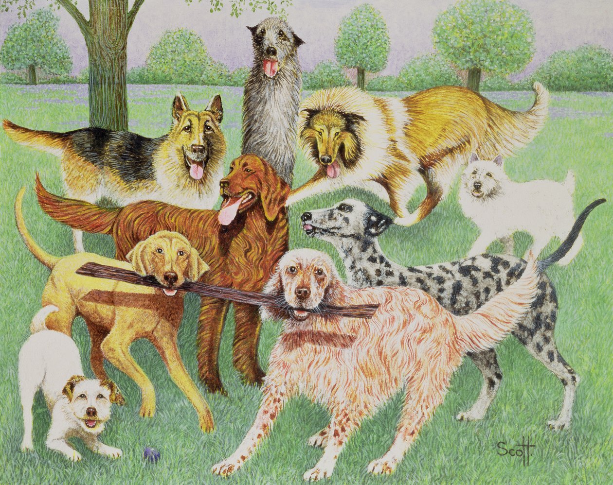 Catch and Carry by Pat Scott