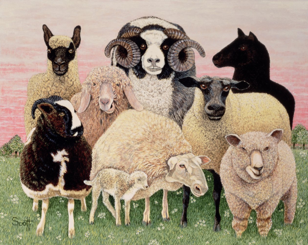 Shepherds Delight by Pat Scott