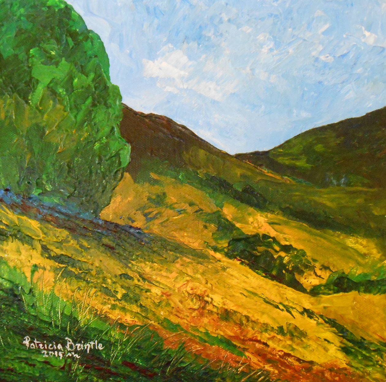Morne La Selle by Patricia Brintle
