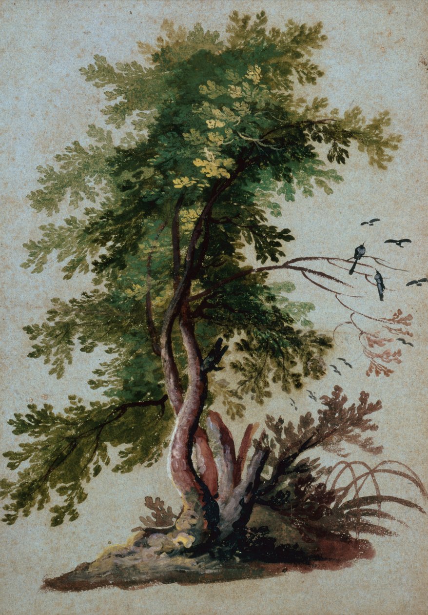 A Tree with Two Birds Perching on a Branch by Paul Brill or Bril