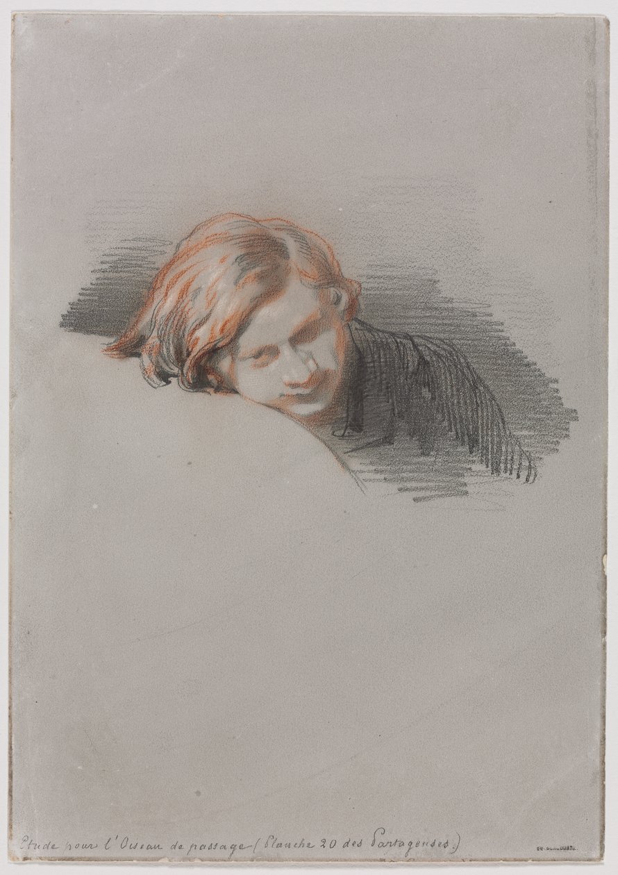 Head of a Young Man (Study for L