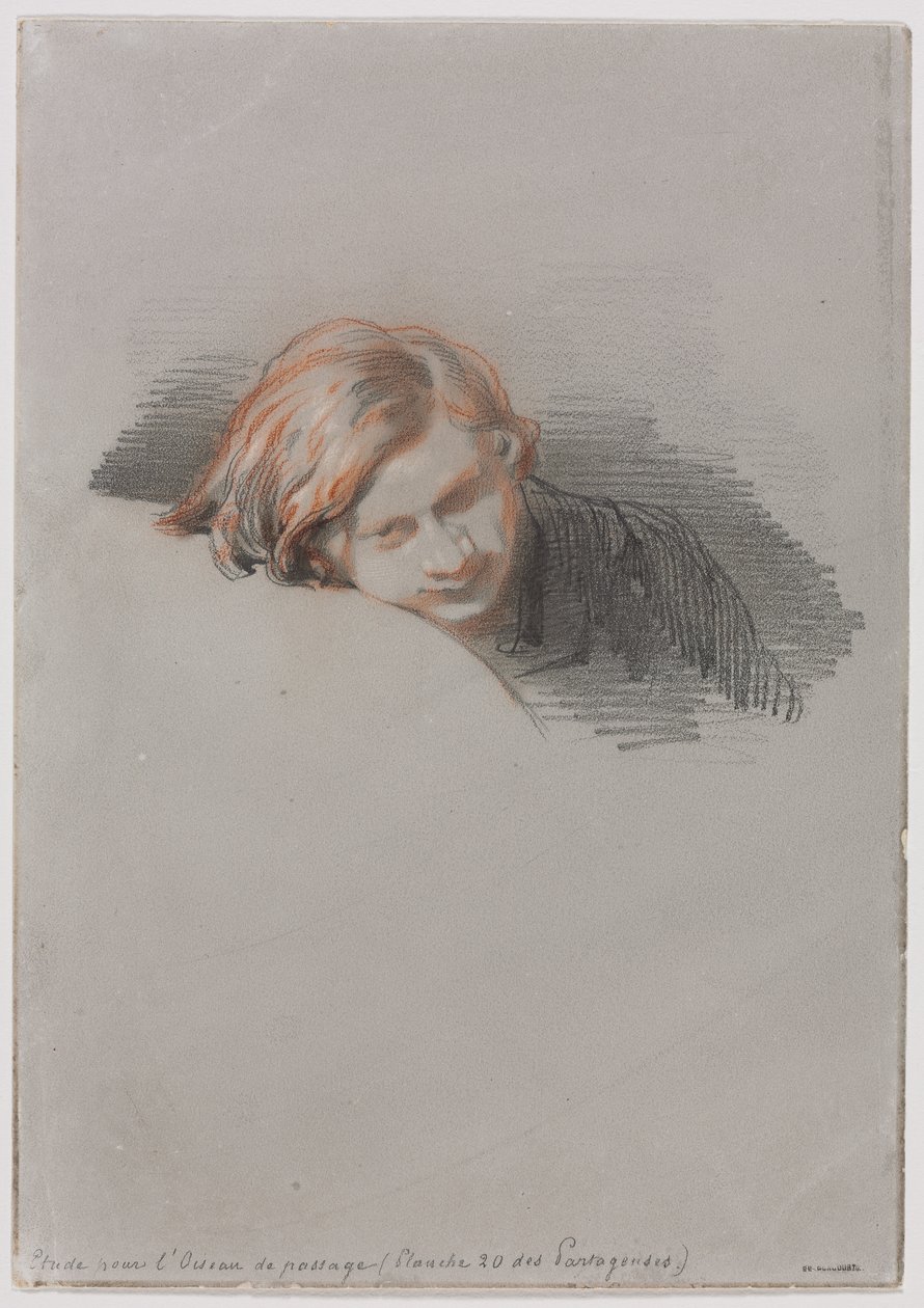 Head of a Young Man Study for L