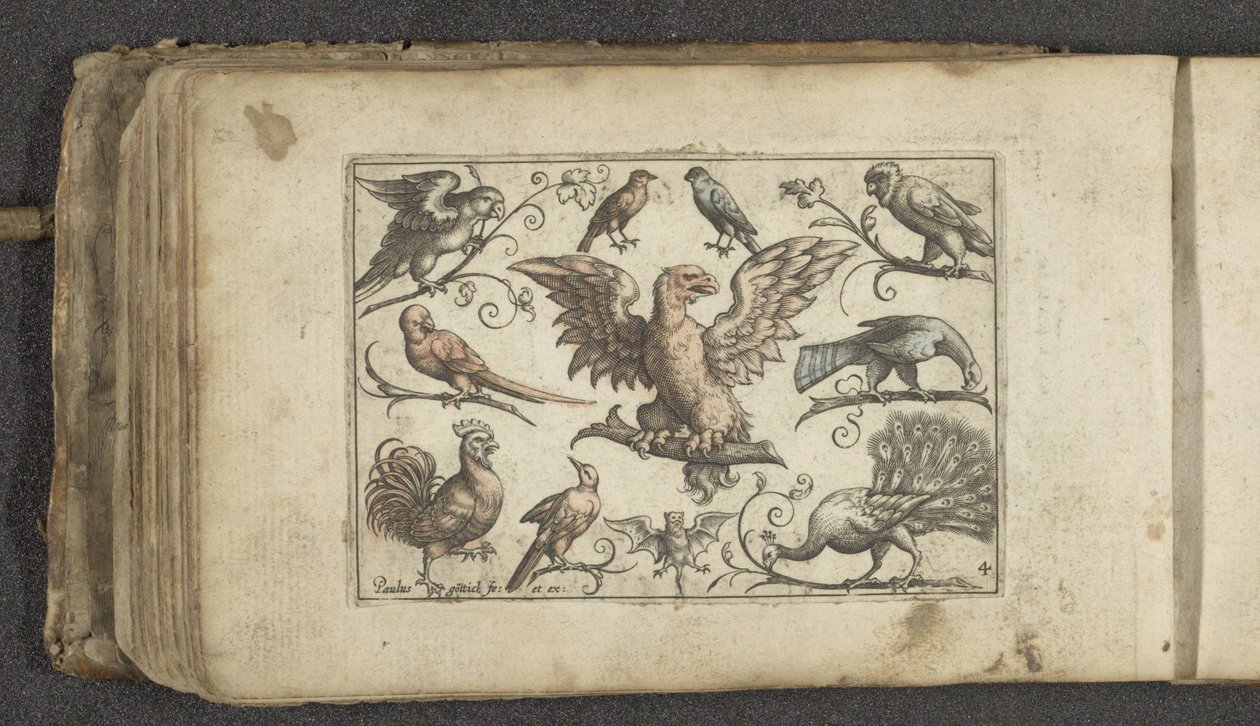 Bird of Prey, Nine Other Birds and a Bat by Paul Göttich