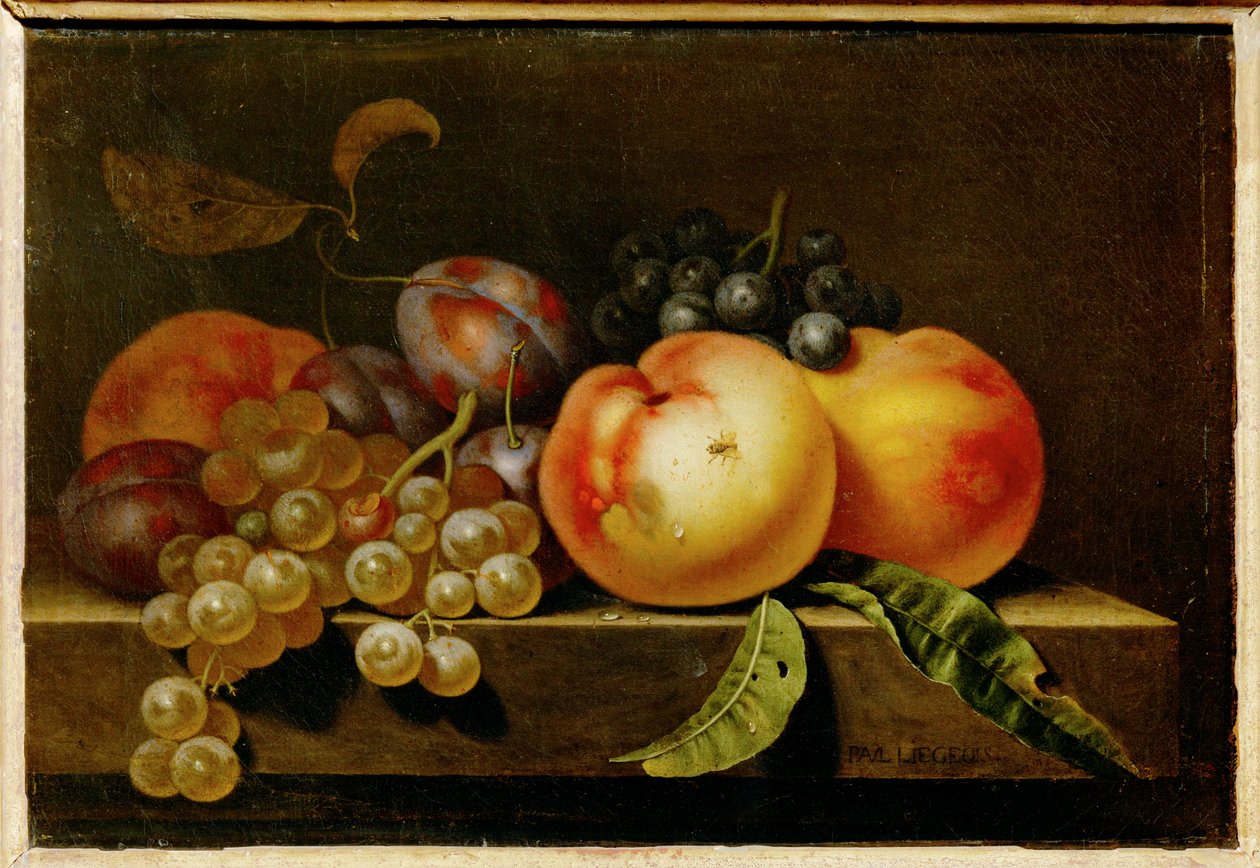 Peaches, prunes and grapes by Paul Liegeois