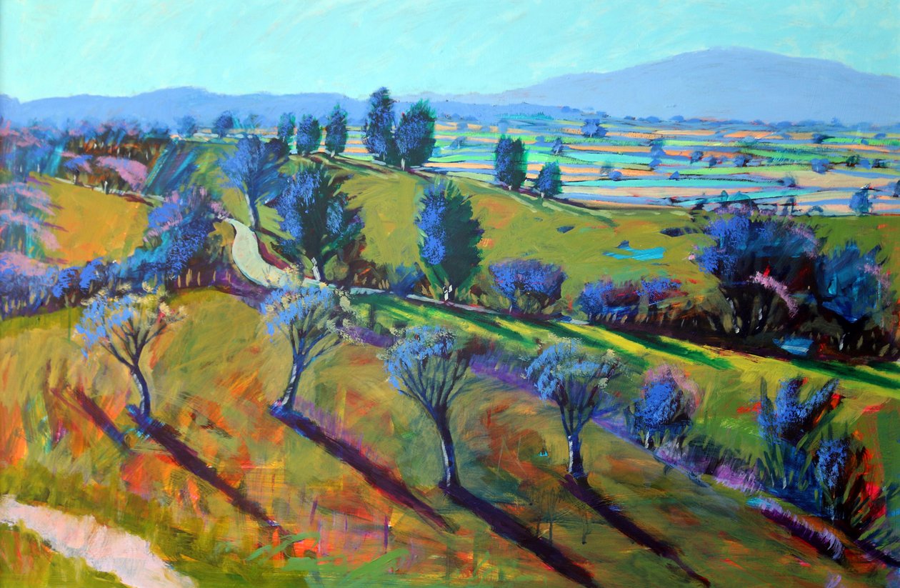 Crickley Hill Spring by Paul Powis