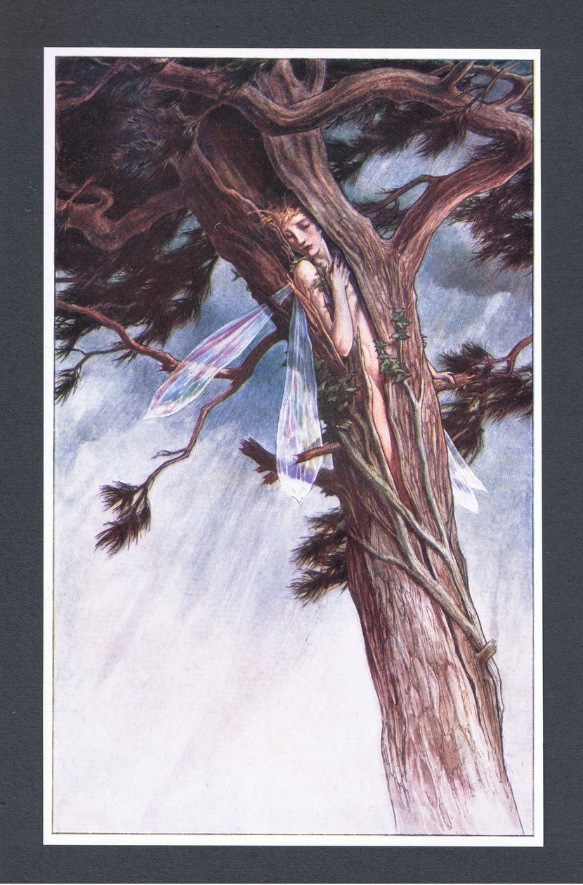 She did confine thee, by help of her most potent ministers and in her most unmitigable rage, into a cloven pine, illustration from The Tempest, 1908 by Paul Vincent Woodroffe