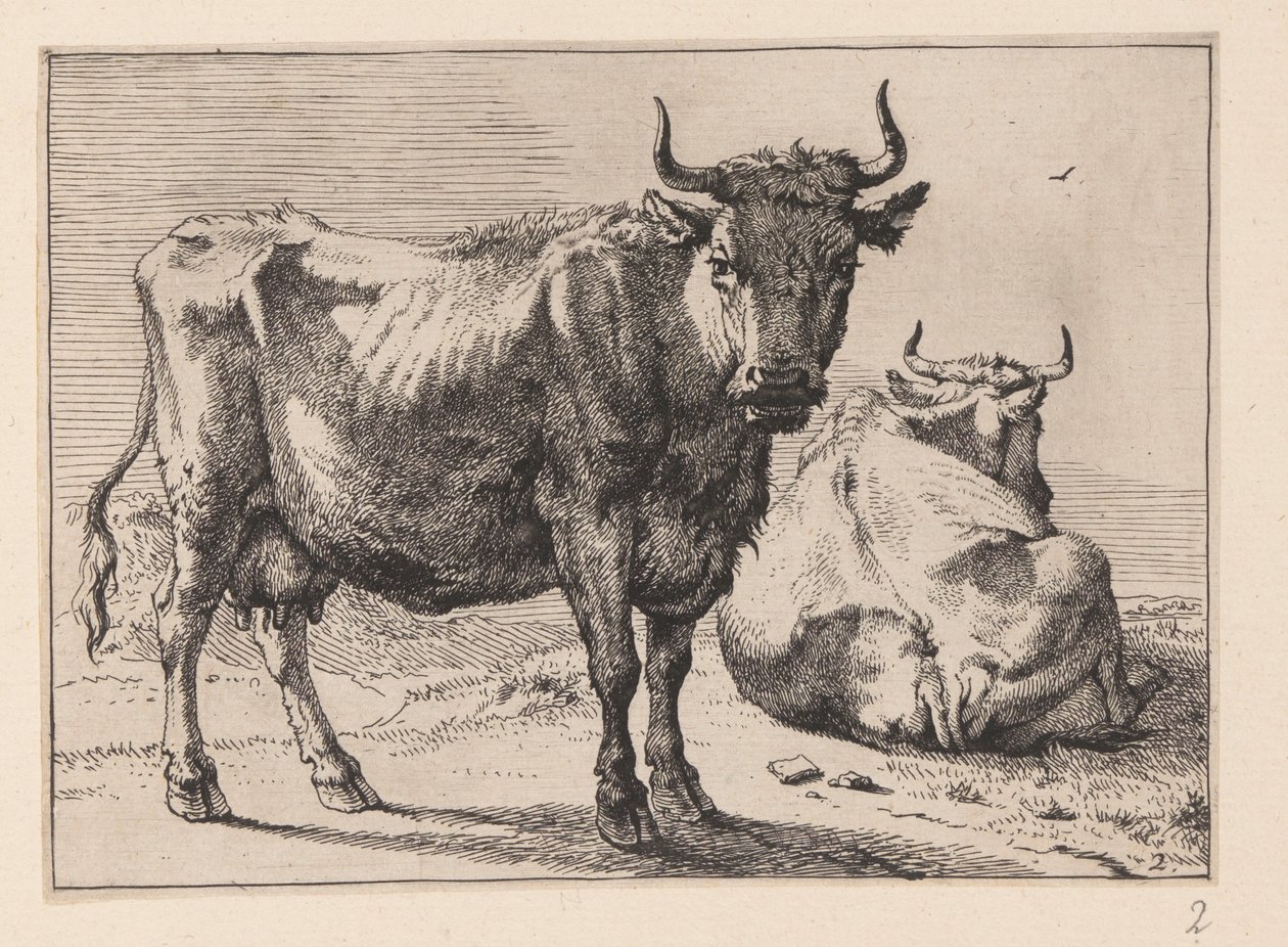 A Cow Standing and Another Lying Down, from Various Oxen and Cows by Paulus Potter