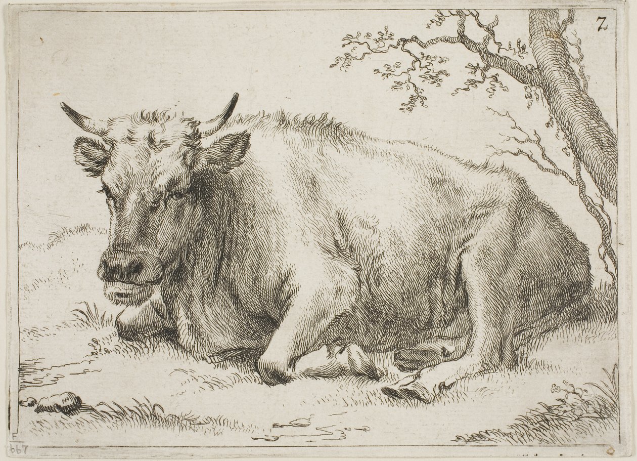 Cow Lying Beside a Tree, plate 7 from Eight Bulls and Cows by Paulus Potter