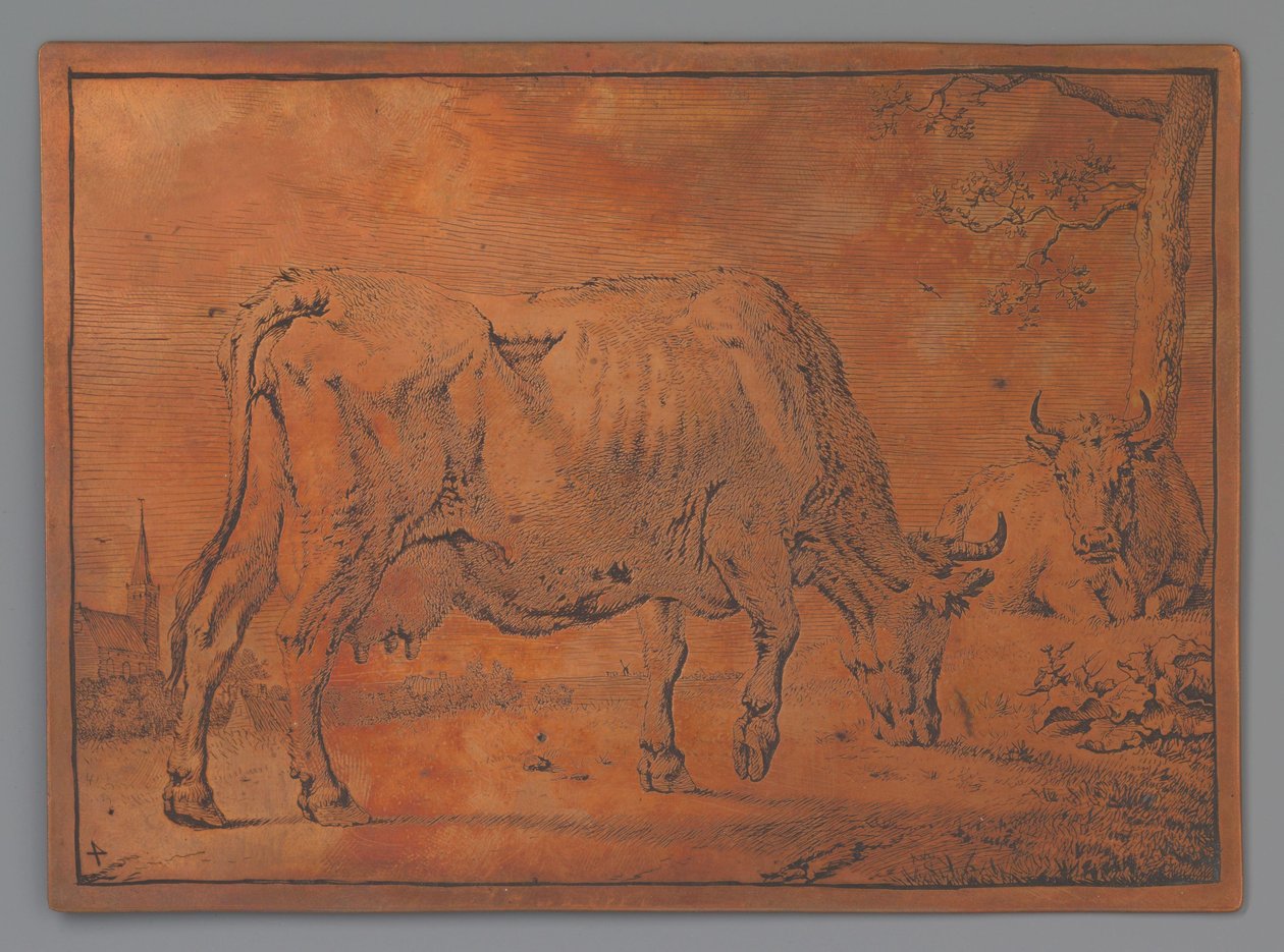 Grazing Cow by Paulus Potter
