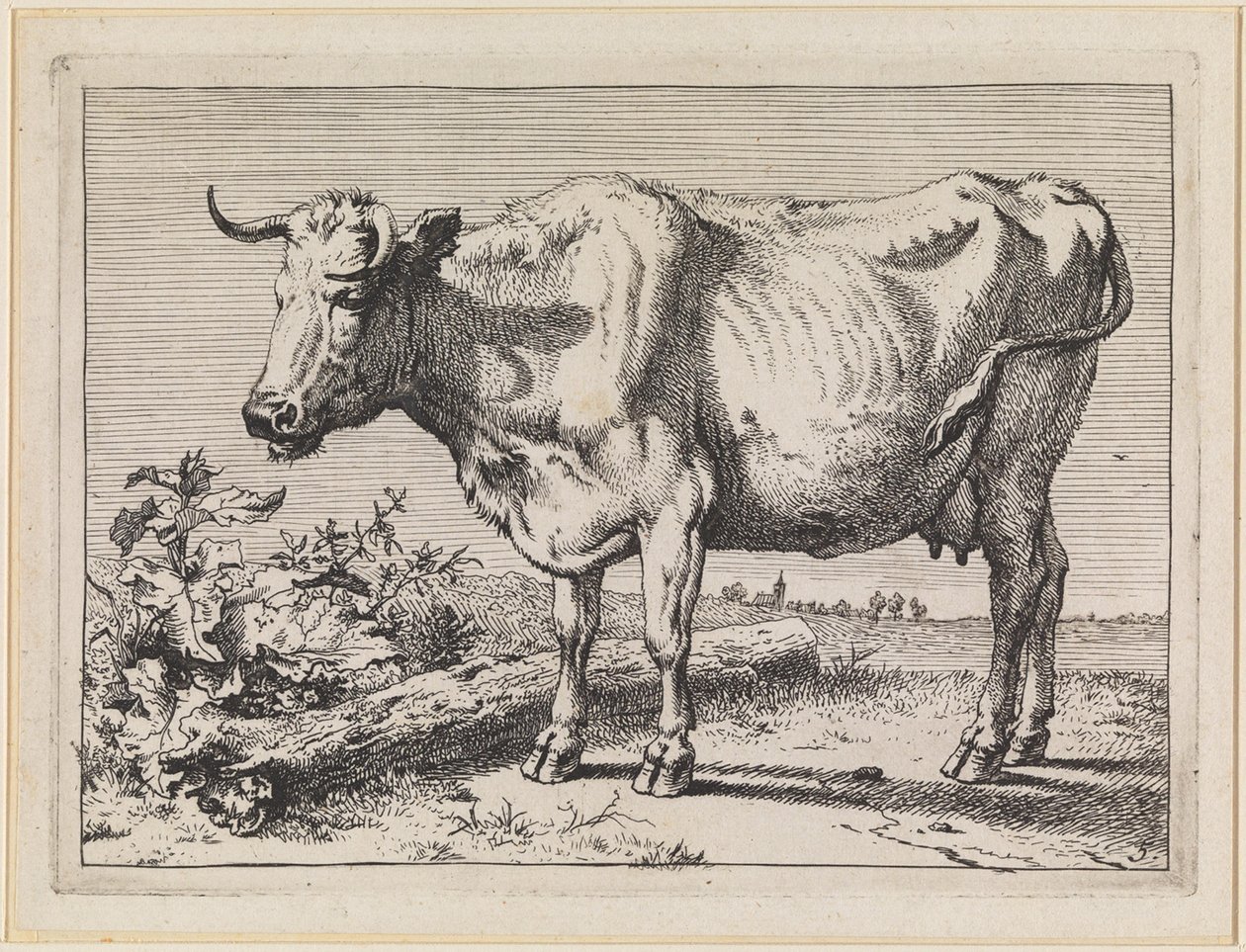 Cow with Twisted Horn by Paulus Potter