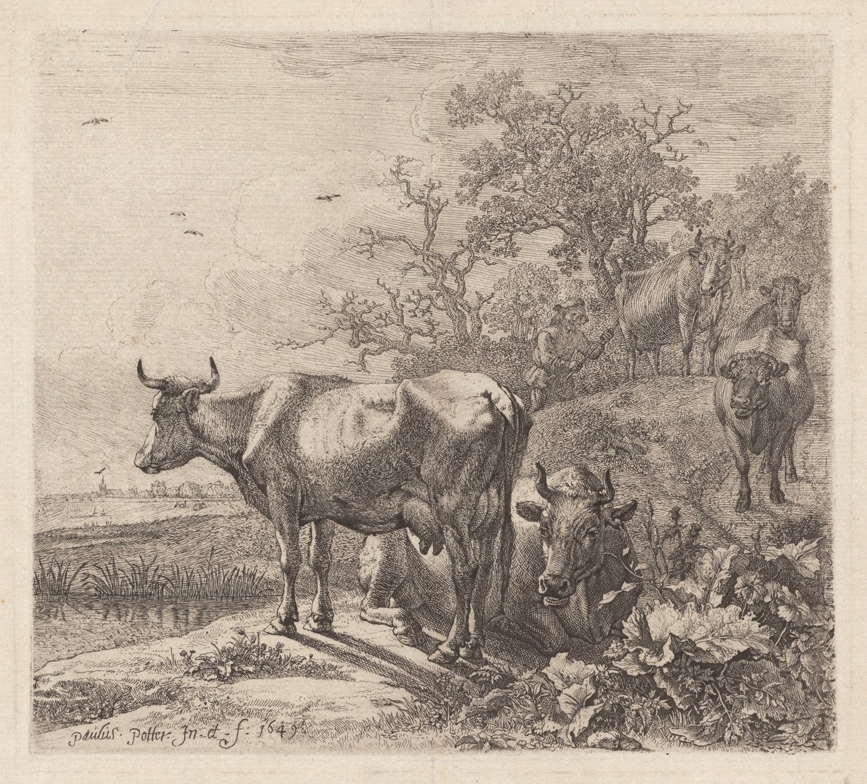 The Cowherd by Paulus Potter