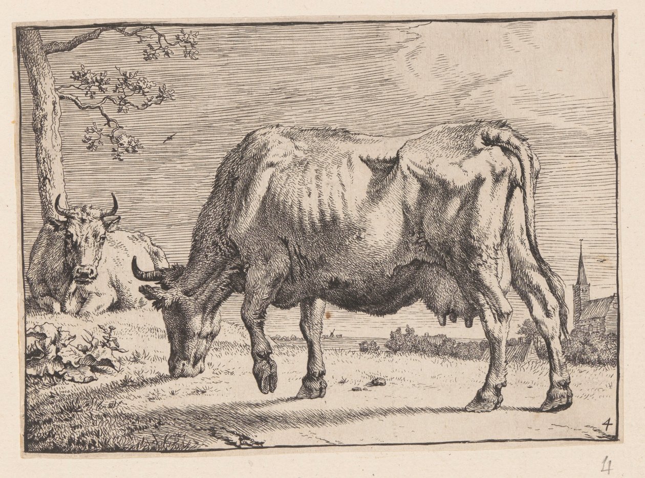 The Grazing Cow, from Various Oxen and Cows by Paulus Potter