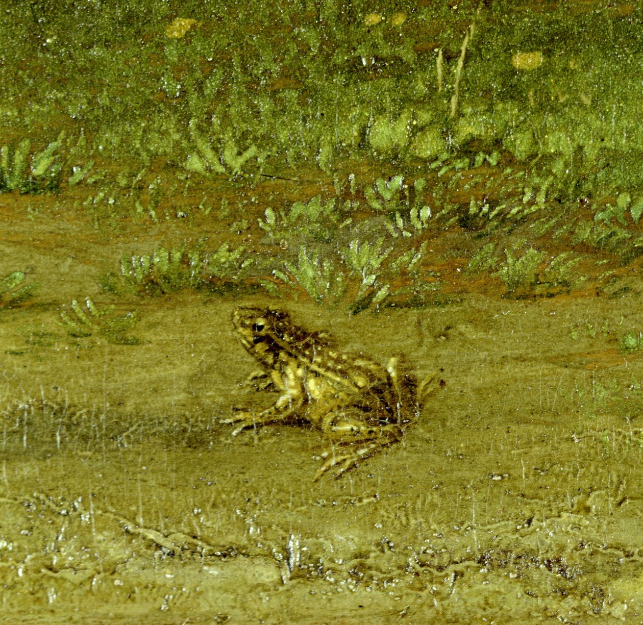 Toad, detail of A Fellow Countryman with his Herd by Paulus Potter