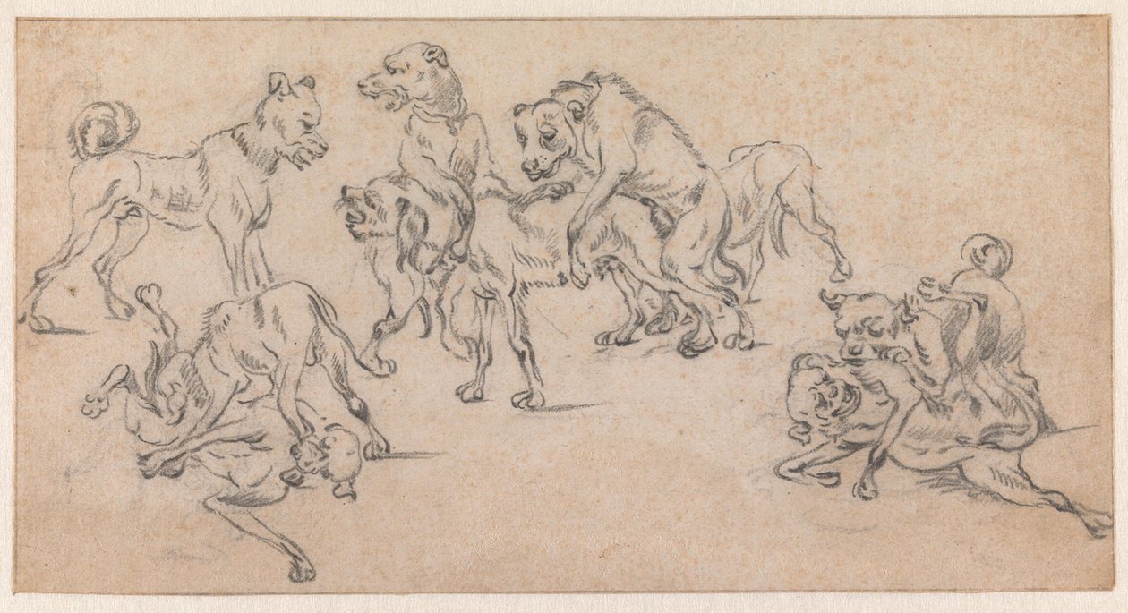 Fighting and Mating Dogs by Paulus Potter
