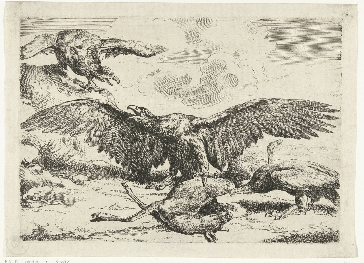 Three Eagles Fighting Over a Dead Deer (series title: Diversi uccelli) by Peeter Boel