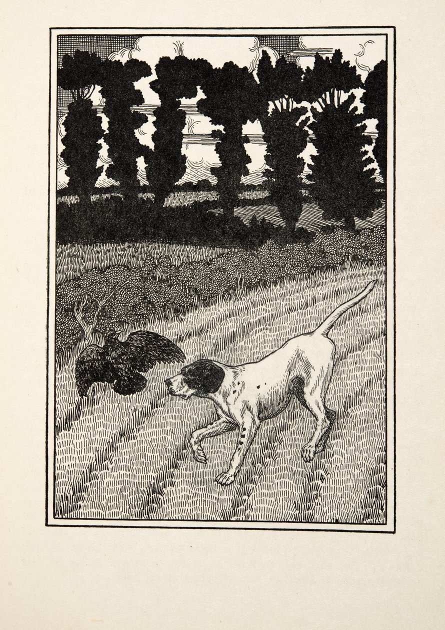 Deceiving the Fowler, from A Hundred Anecdotes of Animals, pub. 1924 by Percy J. Billingshurst