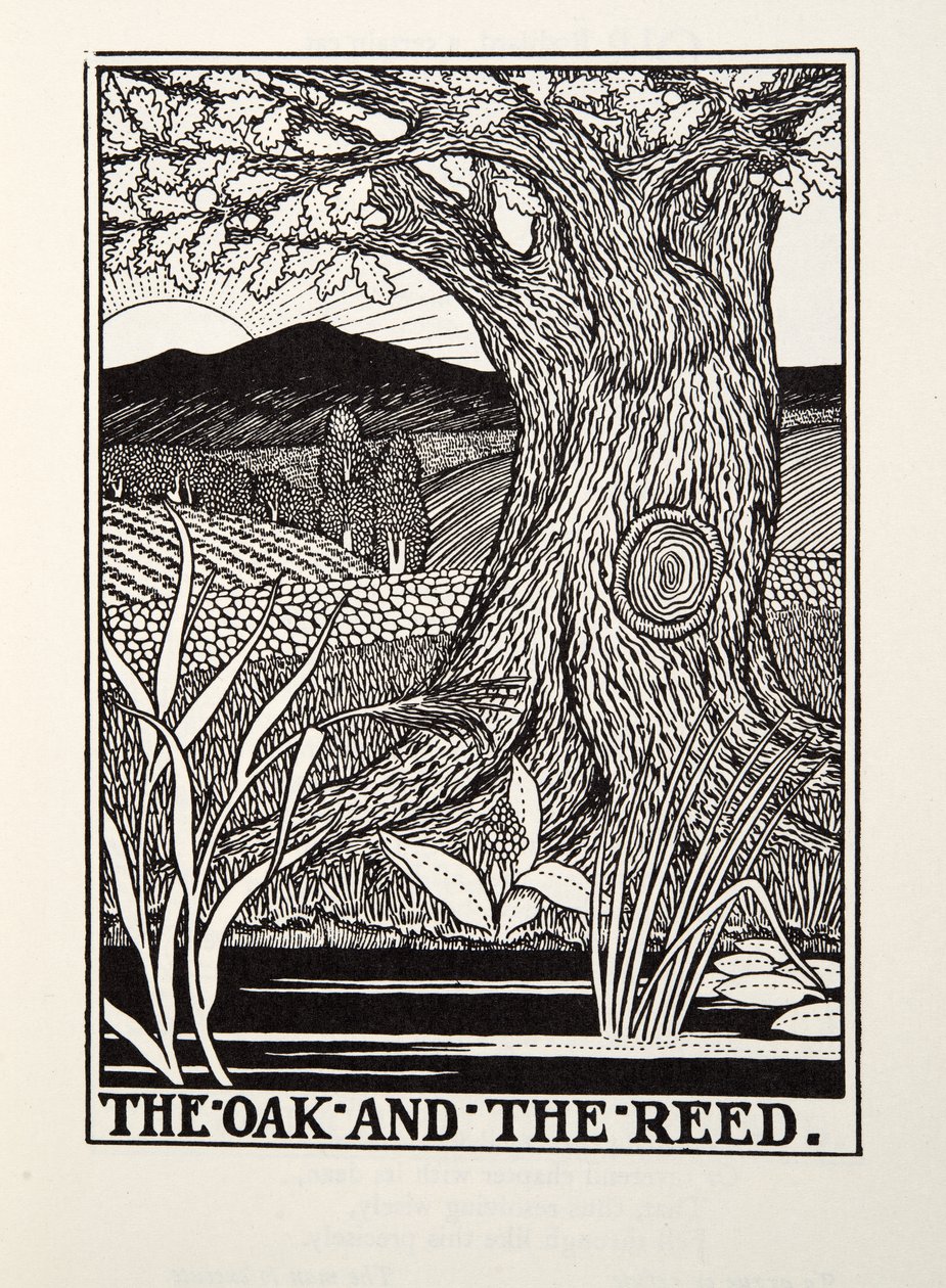The Oak and the Reed, from Fontaine Fables by Percy J. Billingshurst
