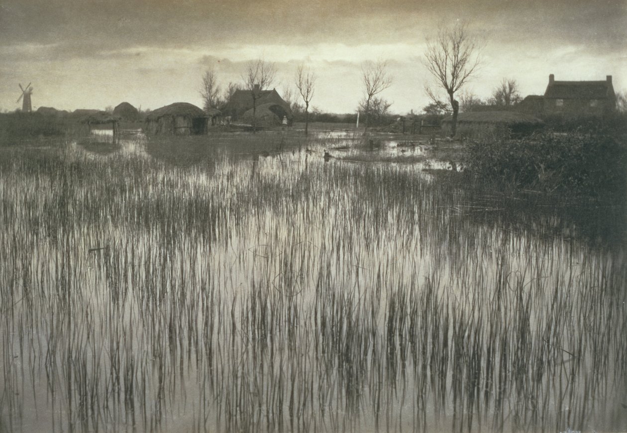 A Rushy Shore, Life and Landscape on the Norfolk Broads