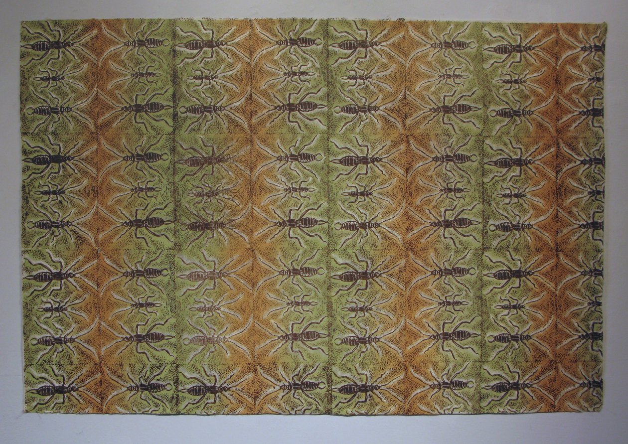 Insect Pattern - Earwig by Peter A Ford