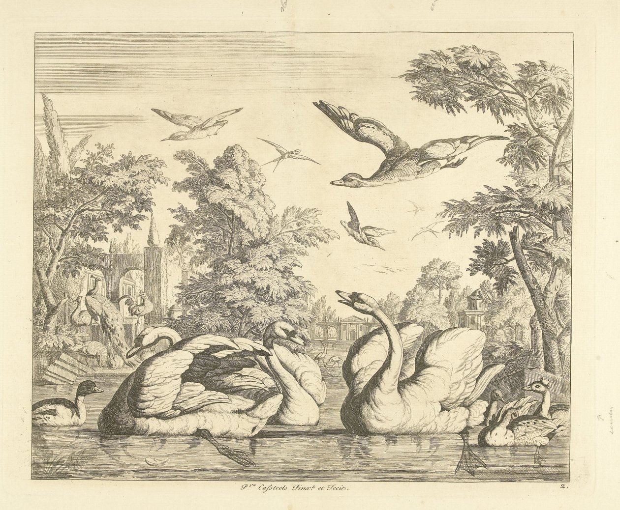 Three Swans and Other Birds by a Pond (Various Birds) by Peter Casteels (III)