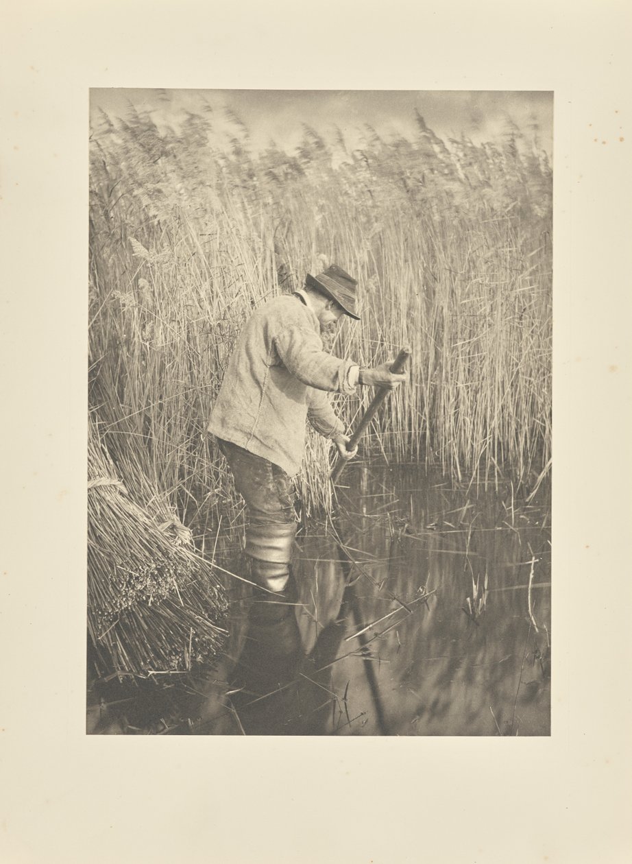 A Reed-Cutter at Work by Peter Henry Emerson