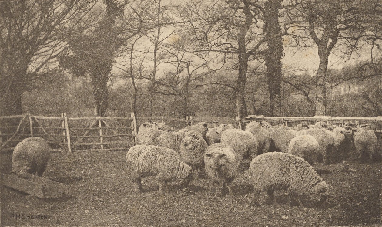 An Autumn Pastoral by Peter Henry Emerson