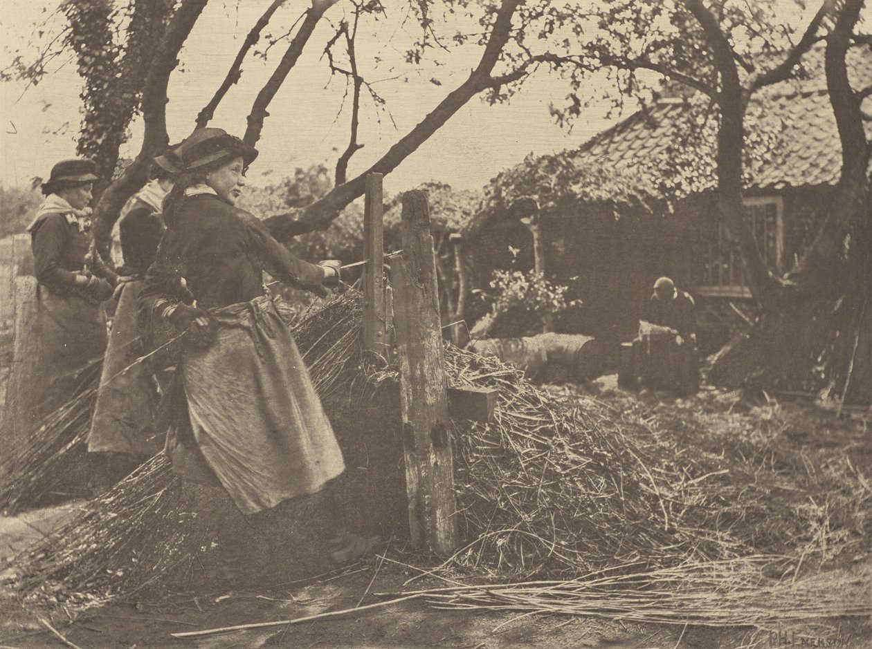 Osier-Peeling. Norfolk. by Peter Henry Emerson