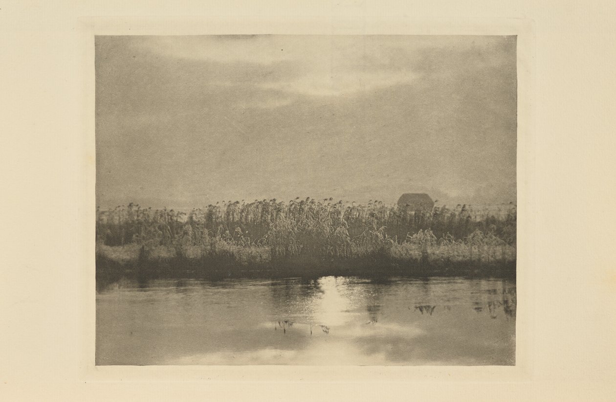 Rime Crystals by Peter Henry Emerson