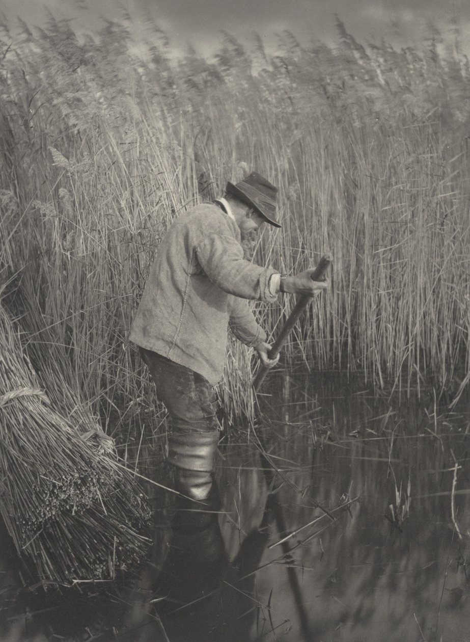 A Reed-Cutter at Work by Peter Henry Emerson and T.F. Goodall