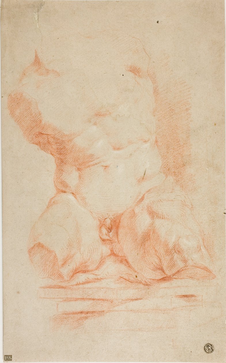 Belvedere Torso by Peter Paul Rubens