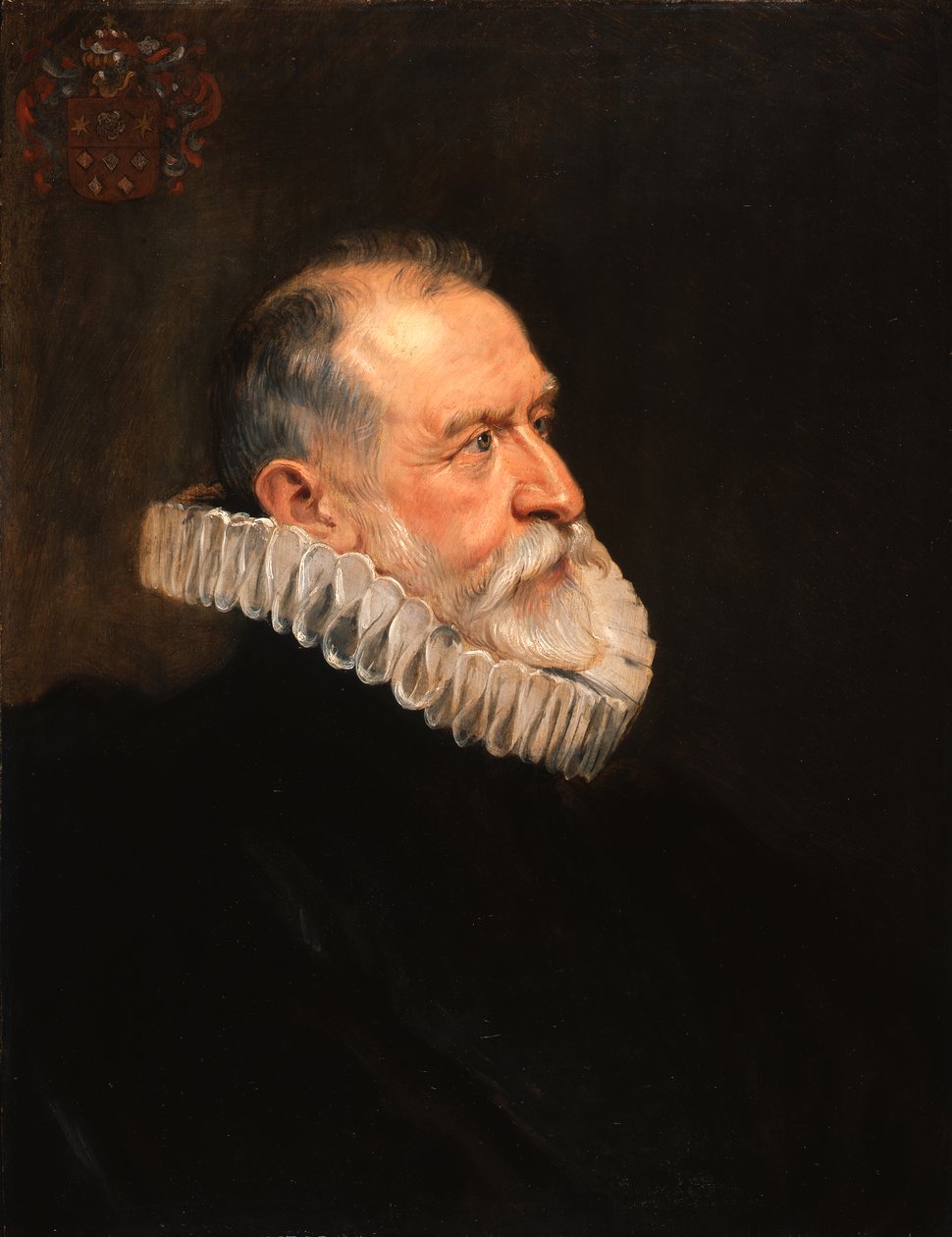 Portrait of an Older Man by Peter Paul Rubens
